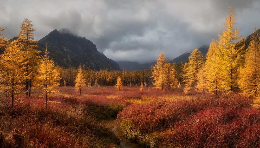 Photograph by Вячеслав Тимошенко