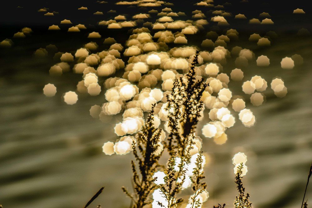 Photograph by mikhail goryachev