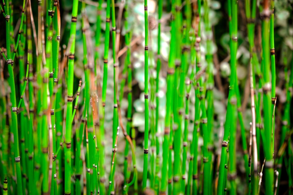 Фотография автора A.M. Photo