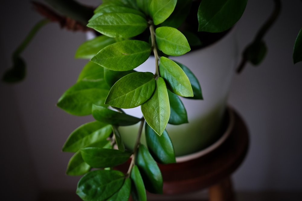 Фотография автора A.M. Photo