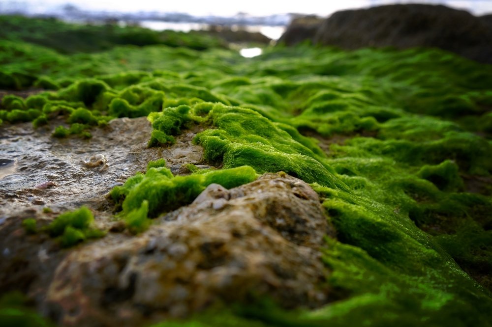 Фотография автора A.M. Photo