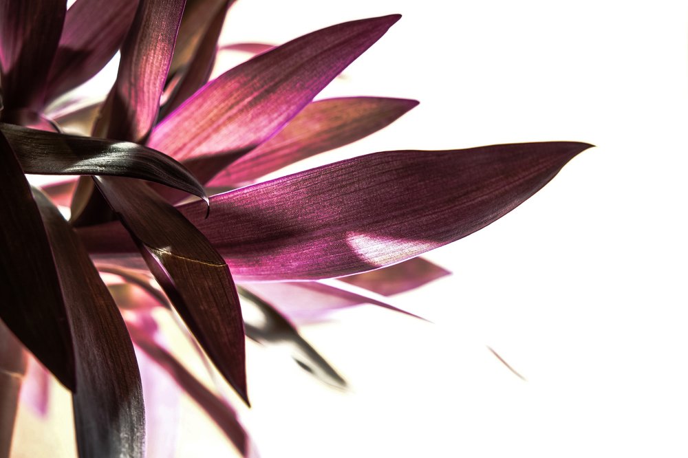 Фотография автора A.M. Photo