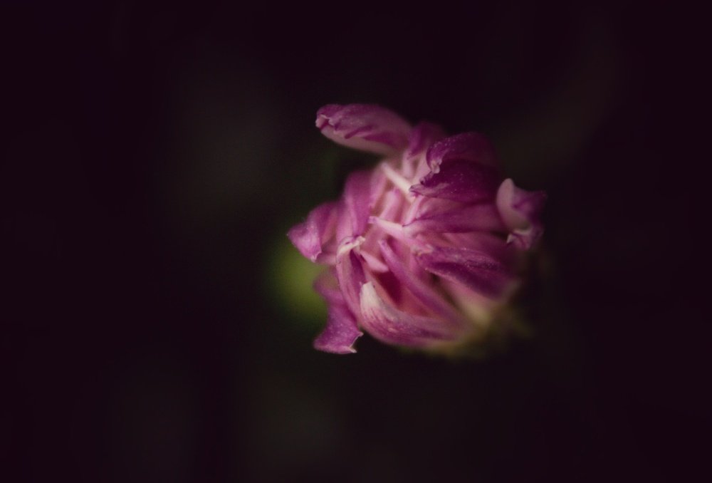 Photograph by Яна Кутателадзе