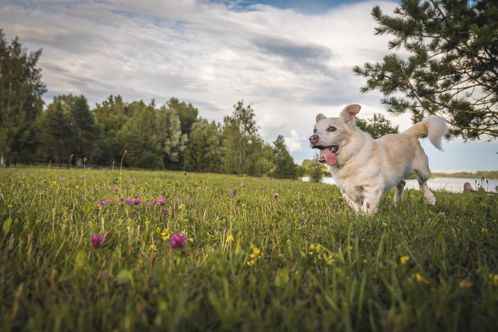 Photograph by Дмитрий Рябцев