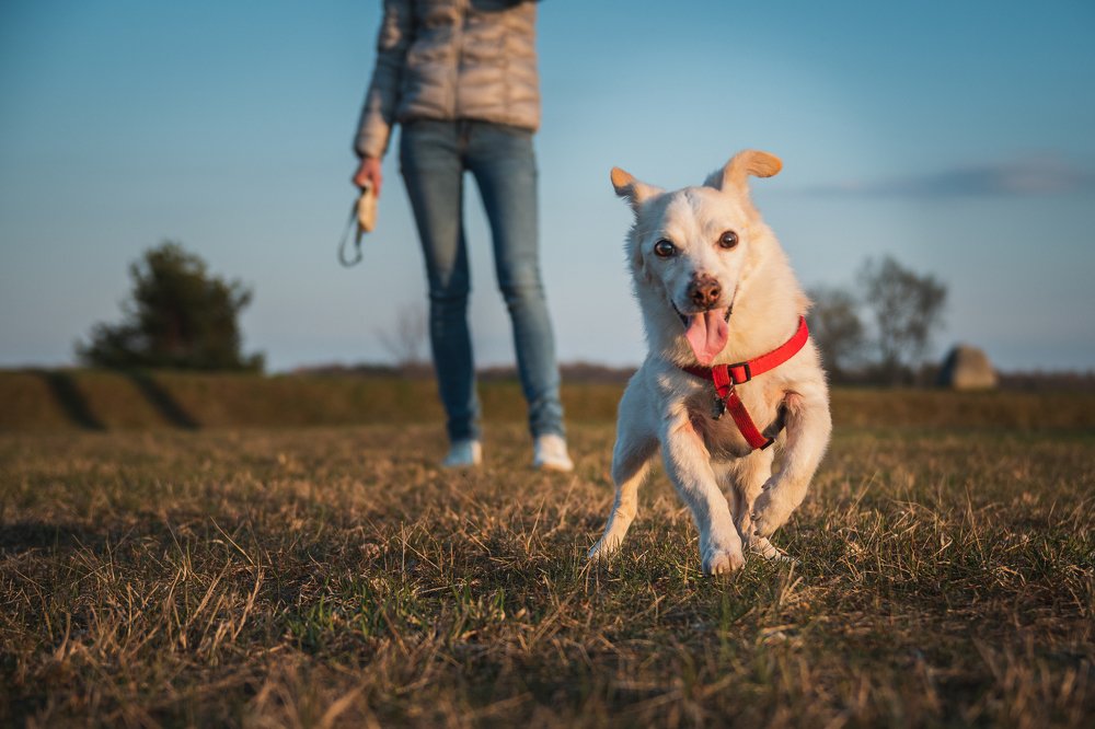 Photograph by Дмитрий Рябцев