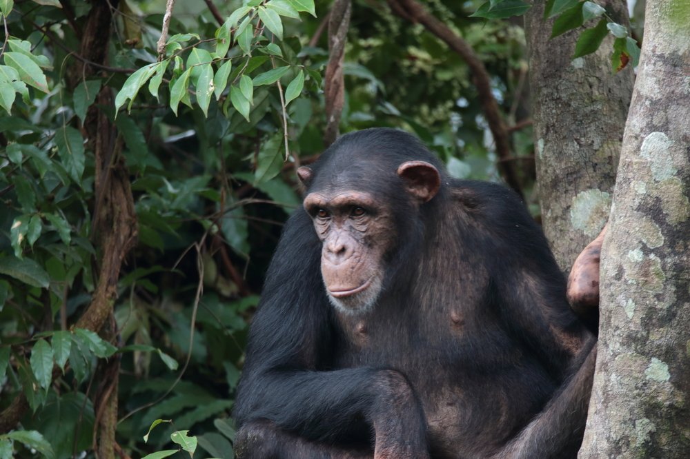 Photograph by Mike Temmerman