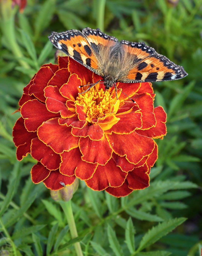 Photograph by Victor Pruhnitskiiy