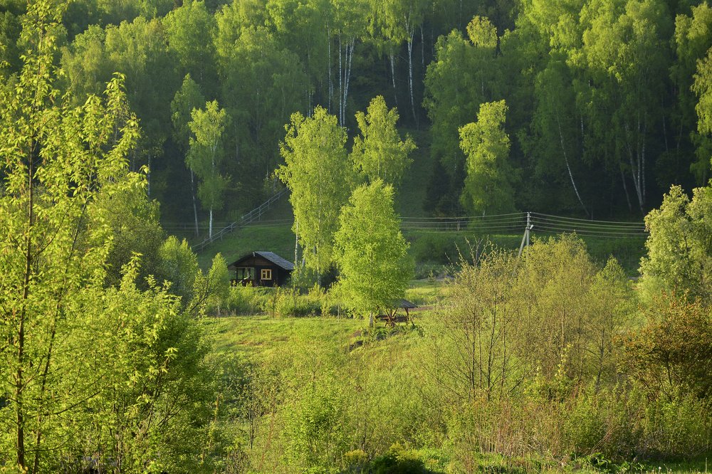 домик в лесу