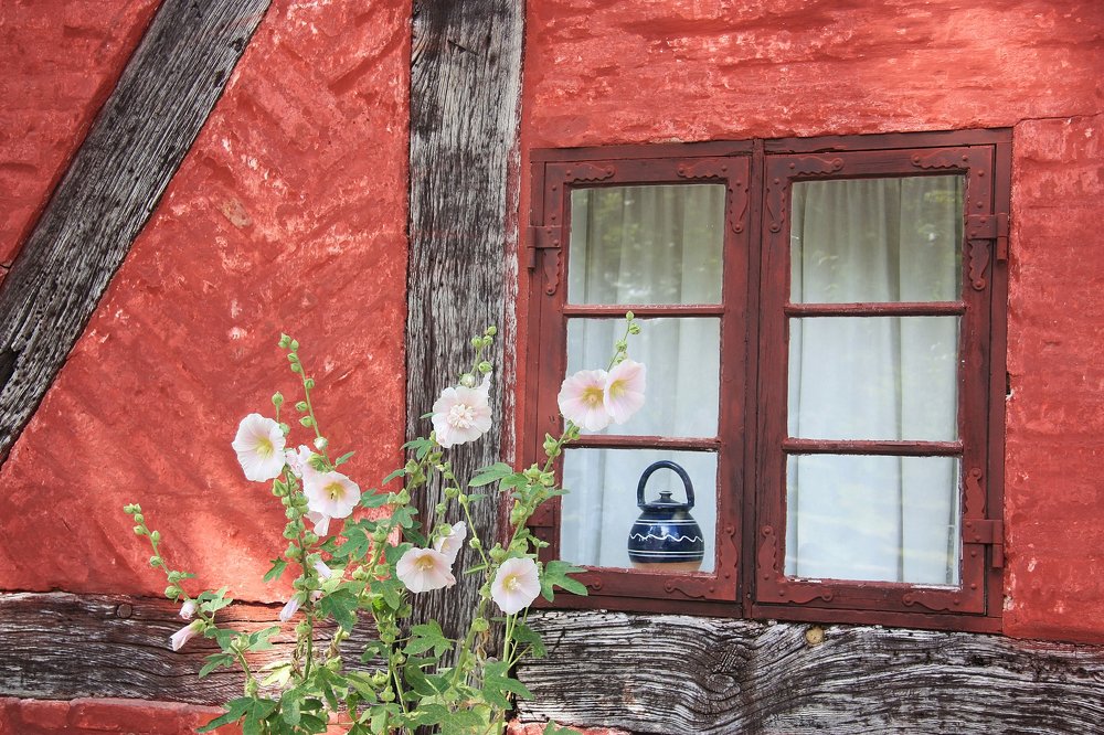 Photograph by Людмила Травина