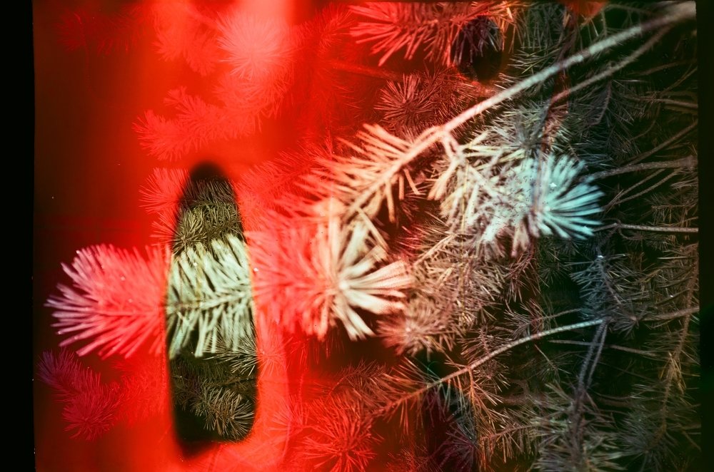 Photograph by Максим