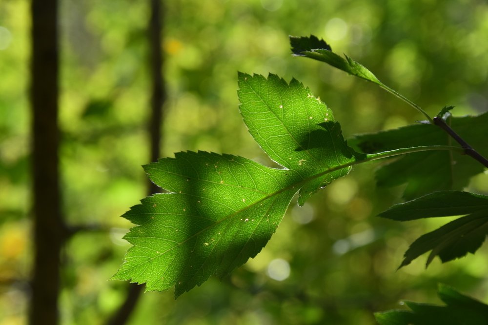 Photograph by Агейков Антон