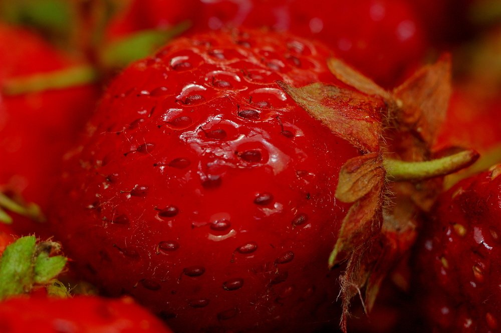 Фотография автора Геннадий Титов