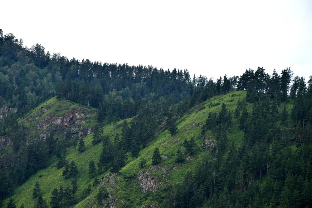 Photograph by Агейков Антон