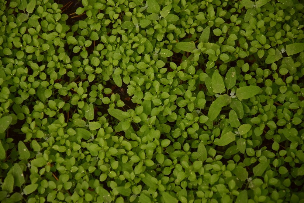 Photograph by Агейков Антон