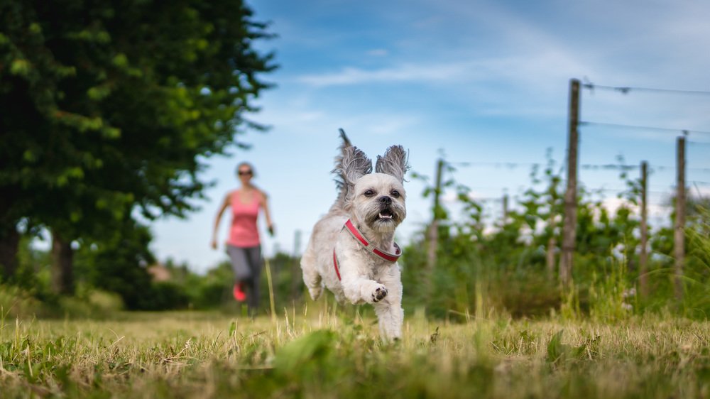 Photograph by Daniel Malinowski
