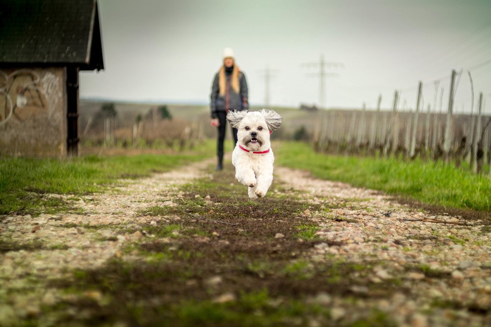 Photograph by Daniel Malinowski