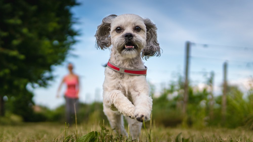 Photograph by Daniel Malinowski