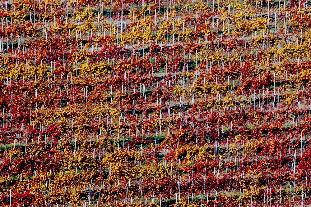 Photograph by julio cesar berisso