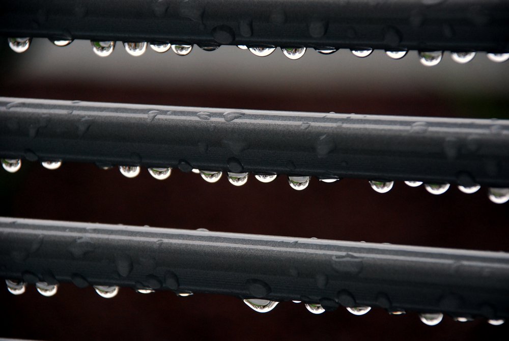 Photograph by julio cesar berisso