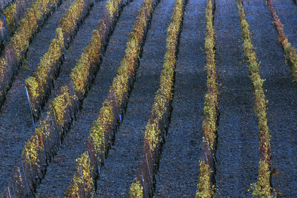 Photograph by julio cesar berisso