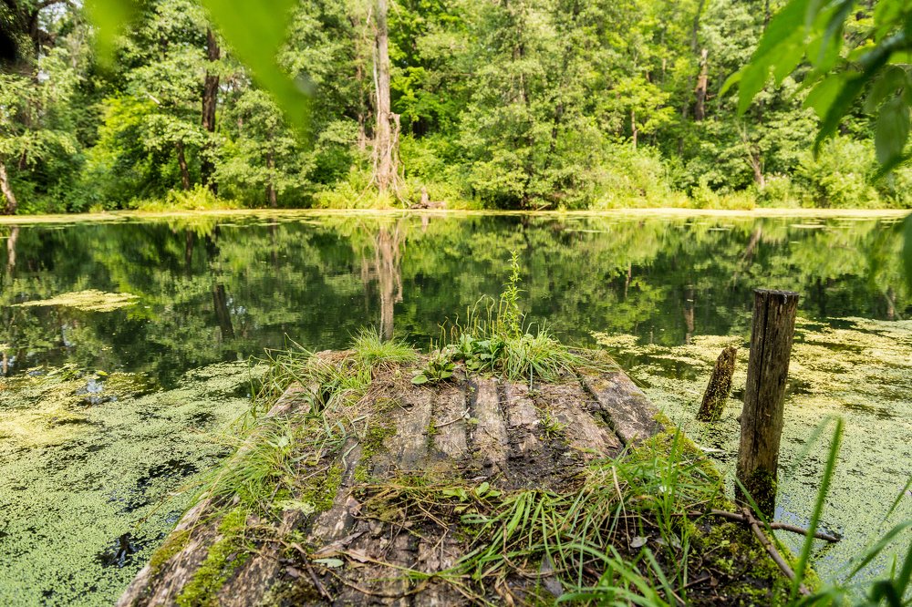 Photograph by Сергей Максимов