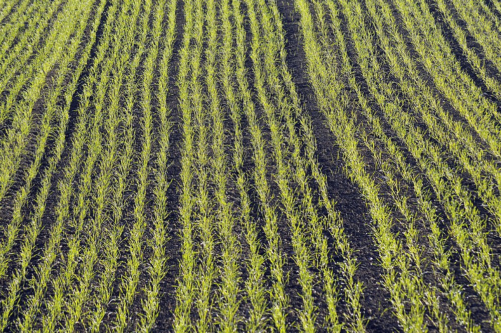 Photograph by julio cesar berisso