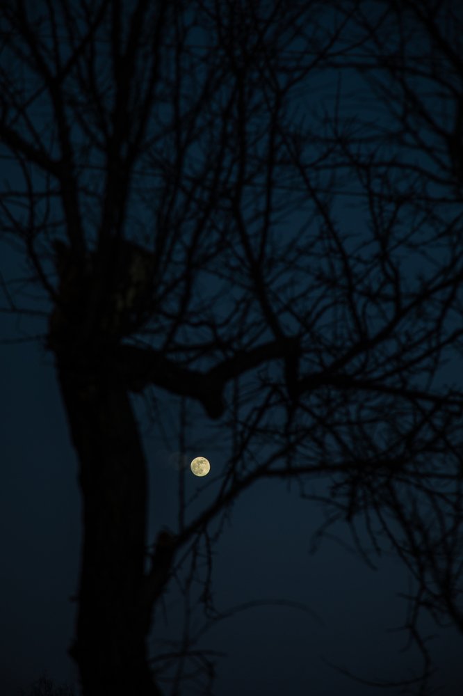 Photograph by Мария Бочкова