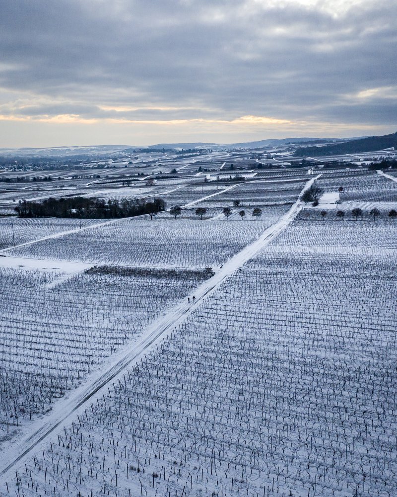 Photograph by Daniel Malinowski