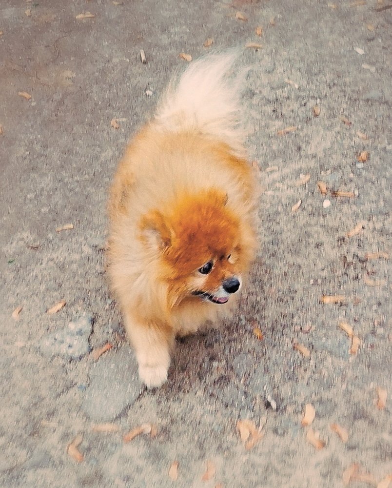 Photograph by Татьяна Чернышова