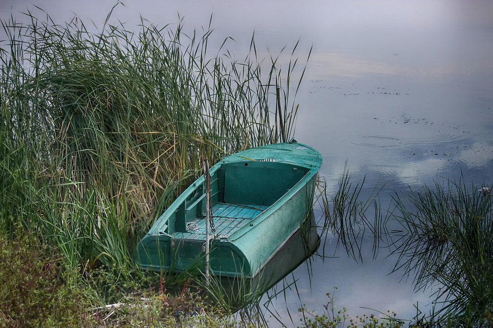 Фотография автора Марина Иванова