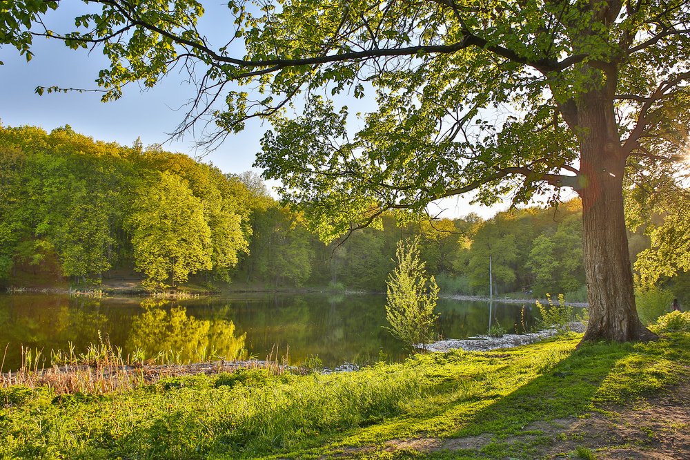 Photograph by Сергей Максимов