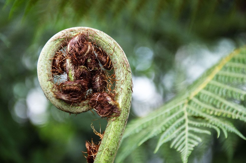 Photograph by Raivo Kremer