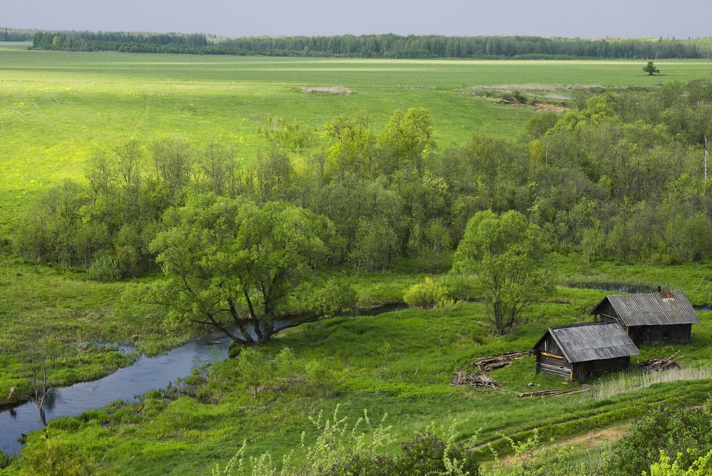 О весенней зелени деревьев и полей