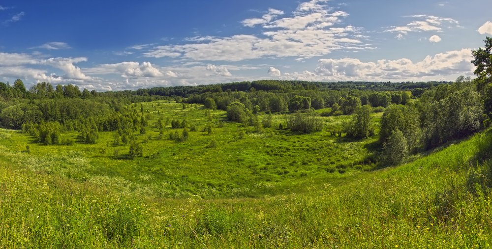 Взгляд с холма на зелень лесов,полей и перелесков