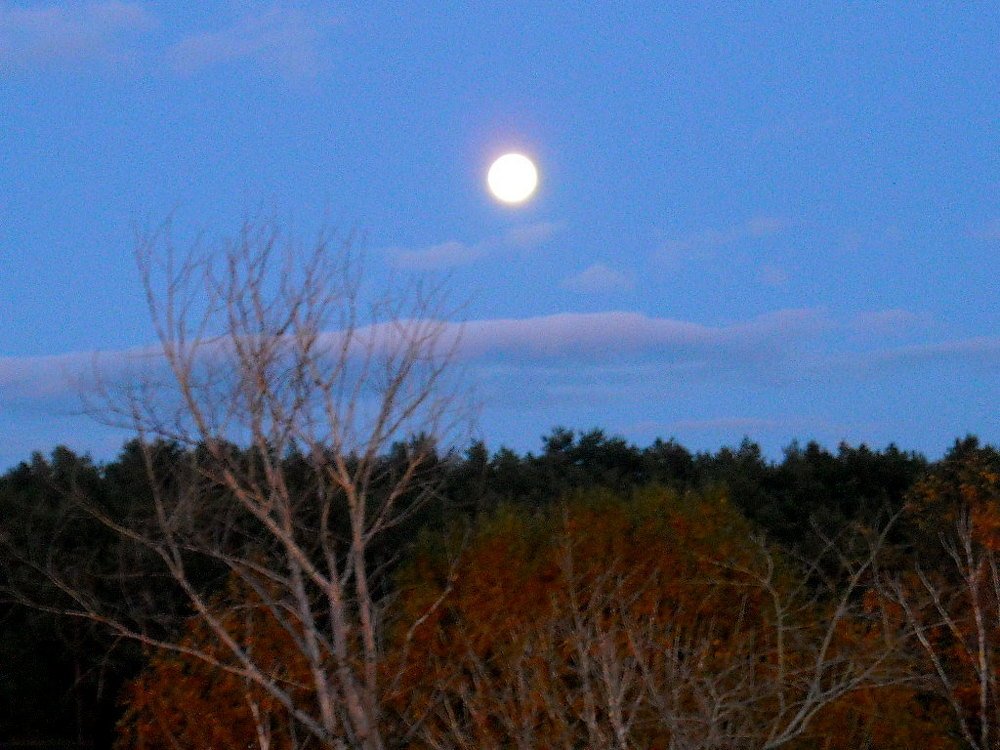 Photograph by Евгений Рогачевский
