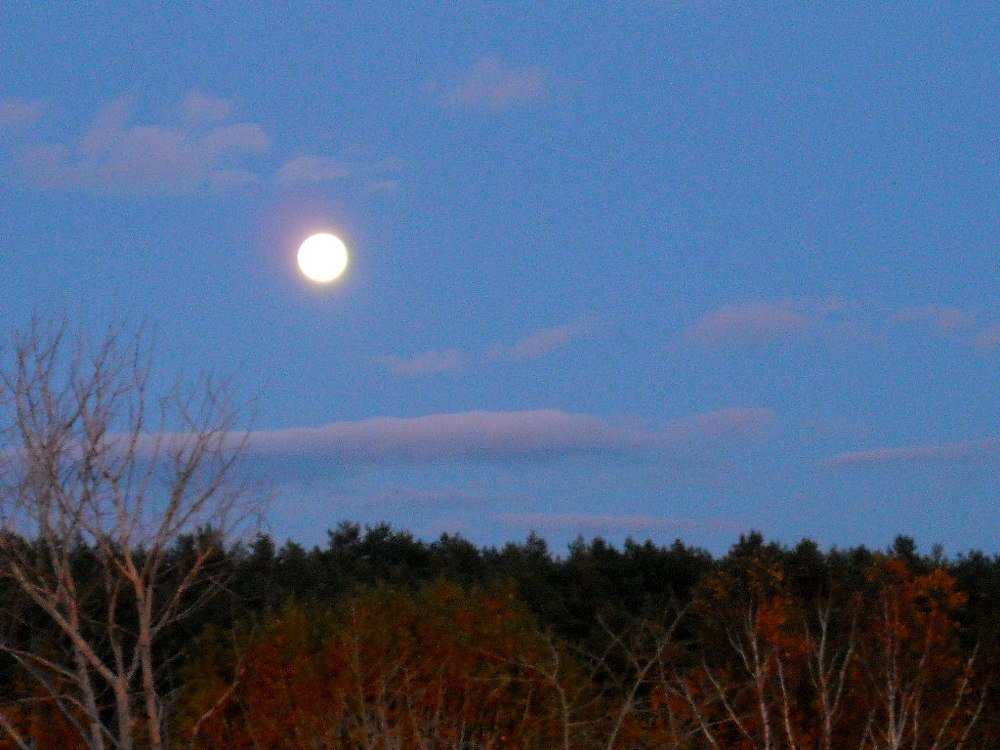 Photograph by Евгений Рогачевский