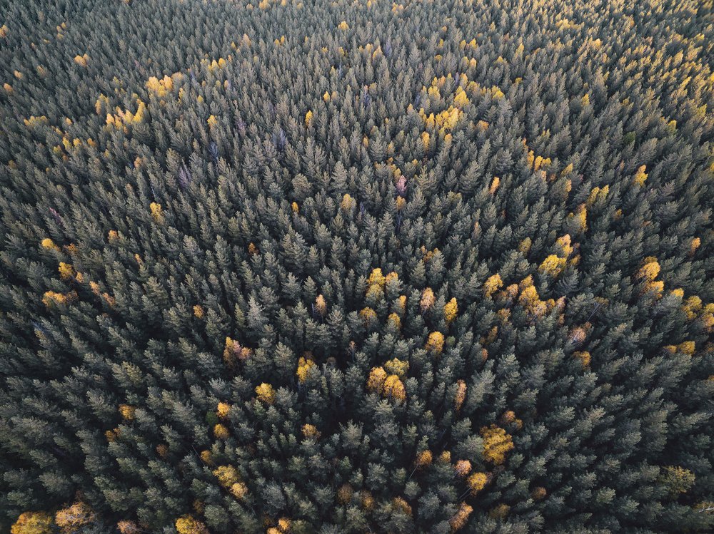 Photograph by Евгений Гецев