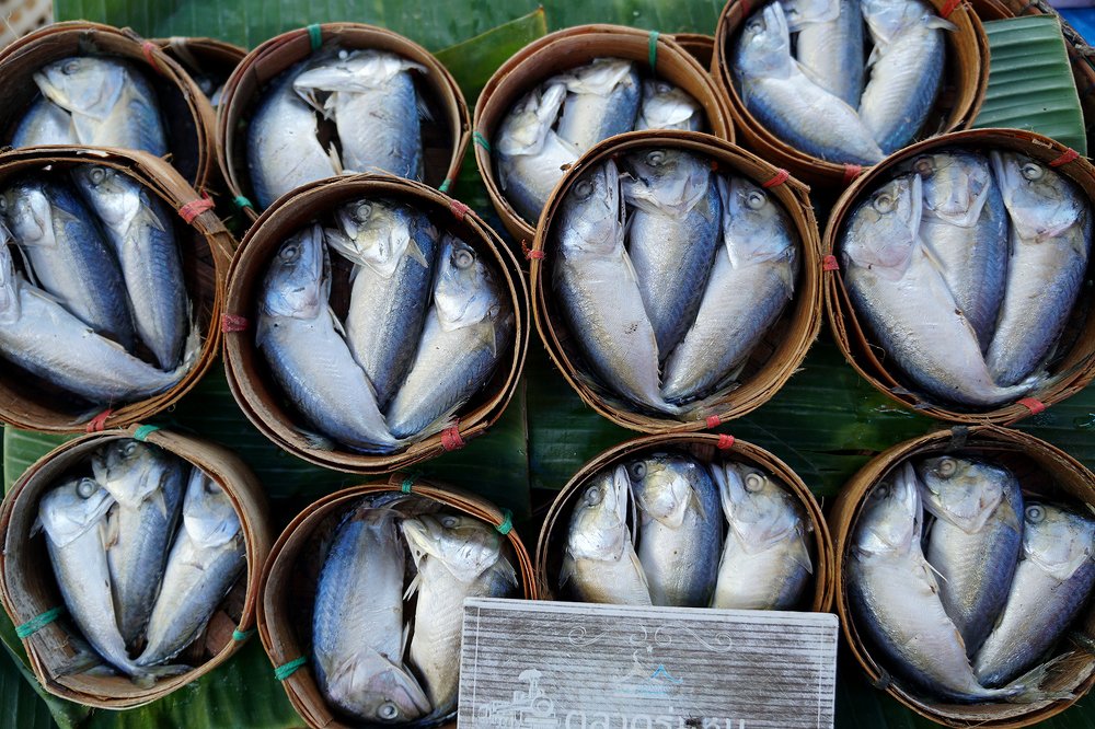 Photograph by Dzianis Mizhui