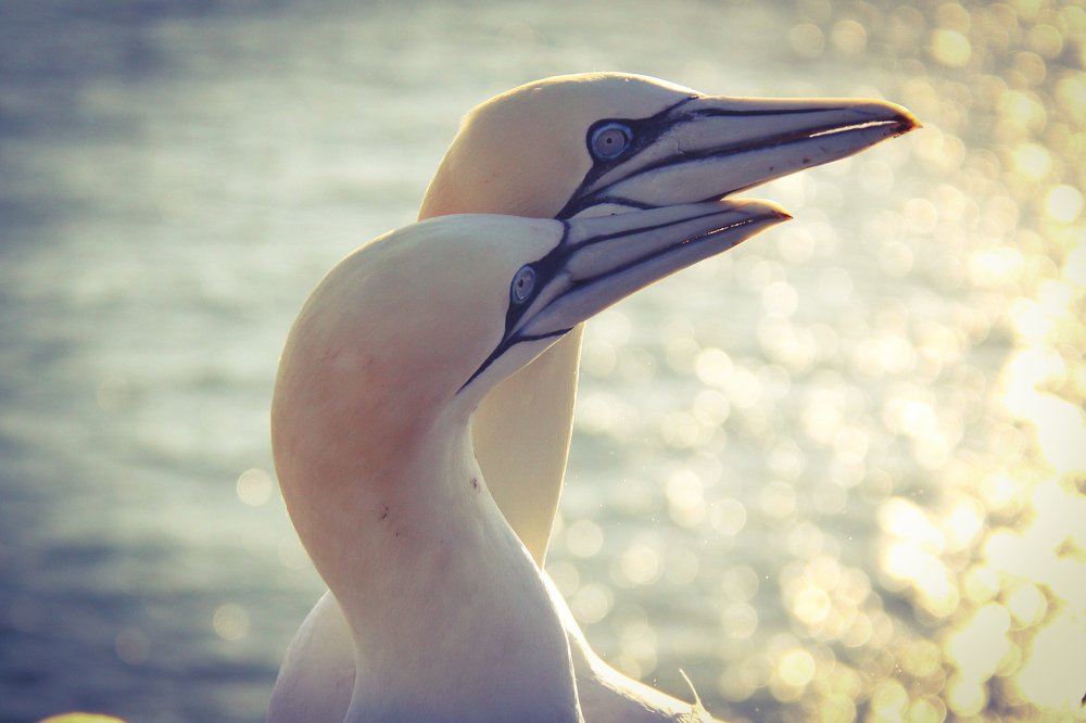 Photograph by Piotr Warzecha