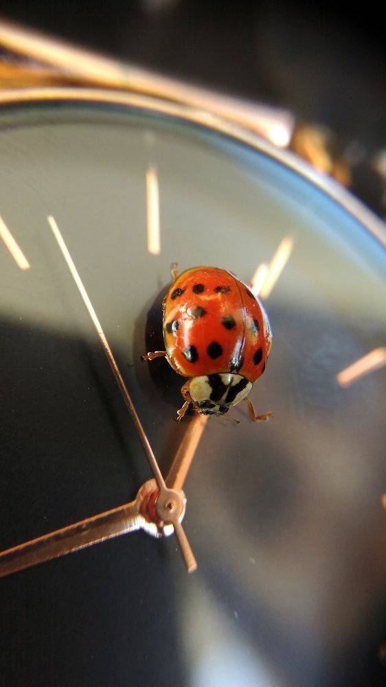 Пара секунд