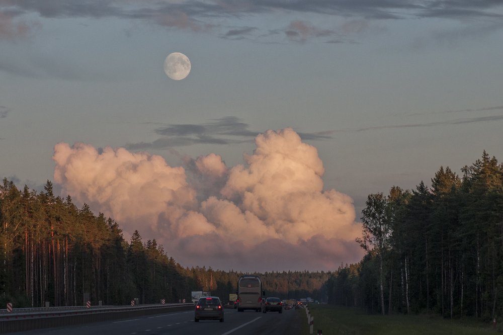 У каждого свой путь