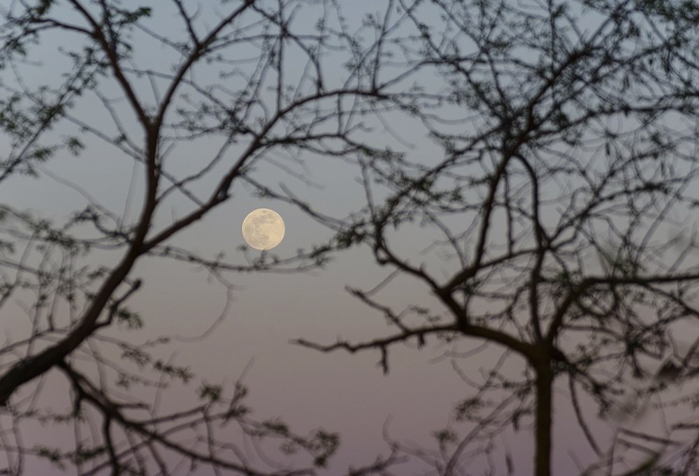 Я вижу твоё лицо