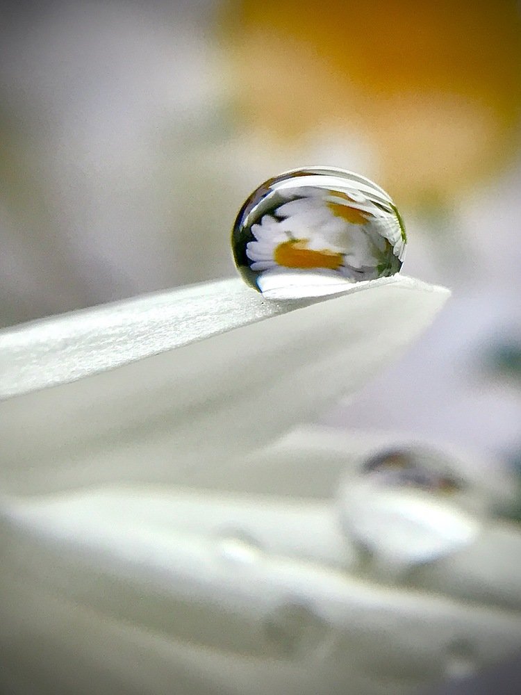 Photograph by Андрей Лежнин