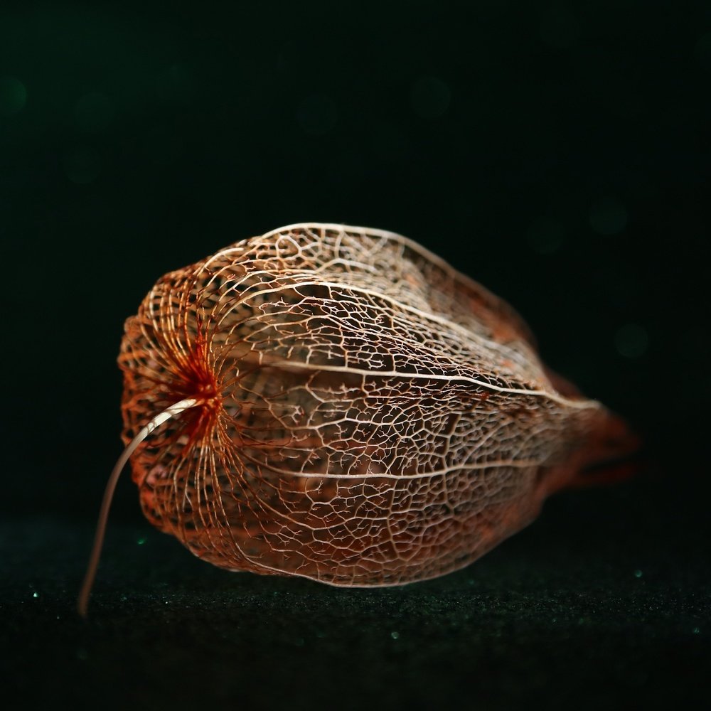 Волшебный фонарик