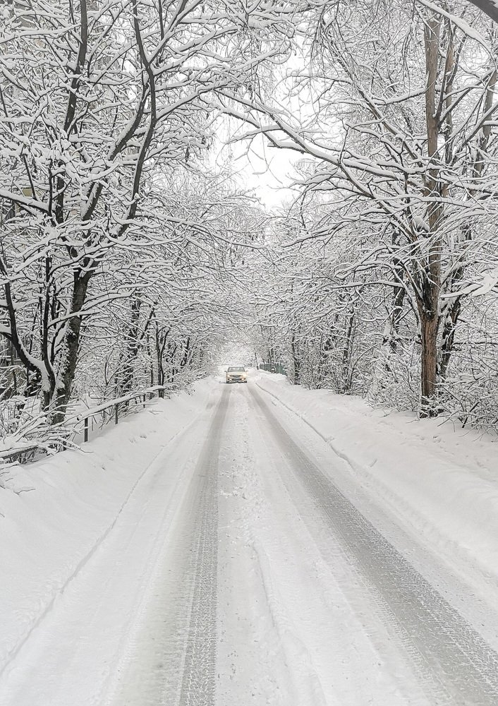 Photograph by Татьяна Чернышова