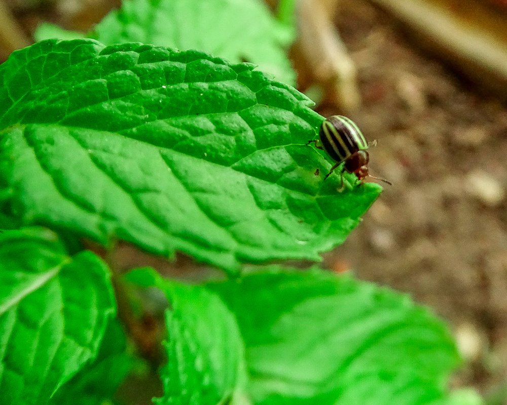 Photograph by Aquiles Trujillo