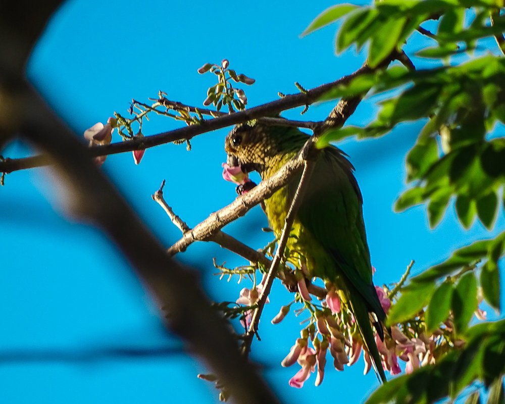Photograph by Aquiles Trujillo