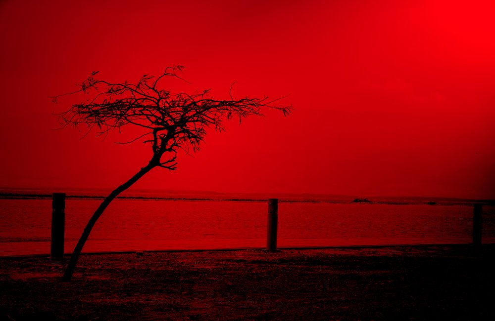 Photograph by Bella Grace