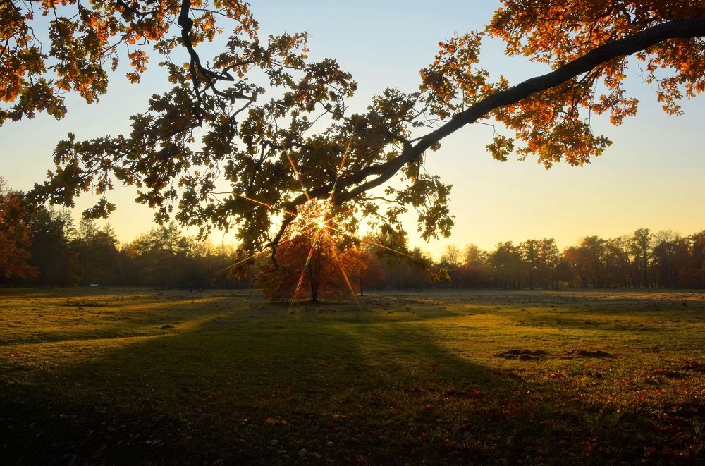 Фотография автора Альбина Хвастунова
