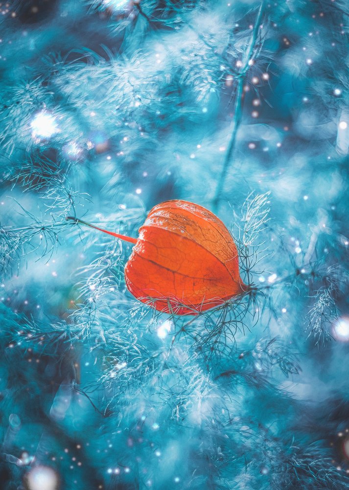 Photograph by Евгений Горланов